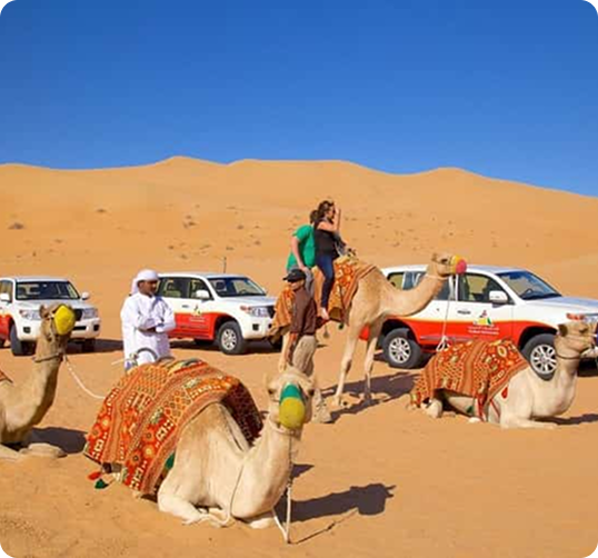 Desert Safari